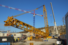 grande grue