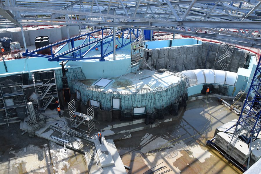 Décors béton dans le bassin du Chantier Grand Nausicaa